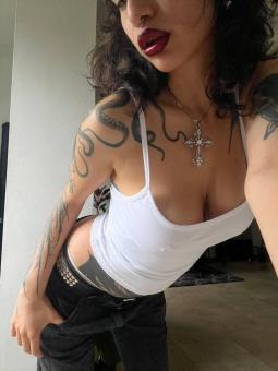 Gita tetovirana domina